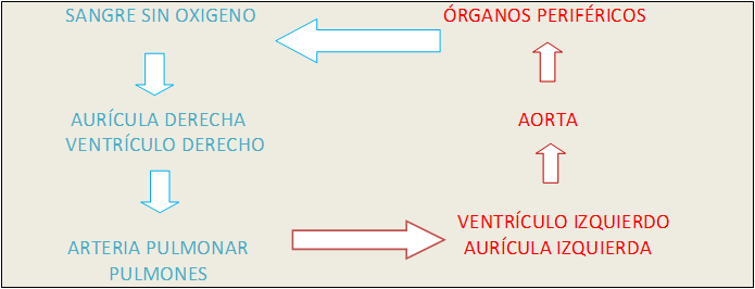 Imagen sin título